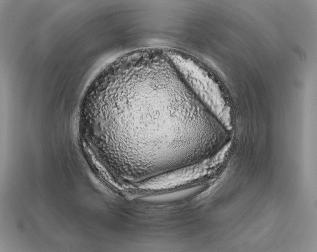 X0000112901421200909111515