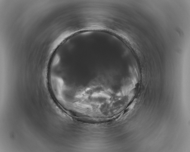 X0000112901422200909111515