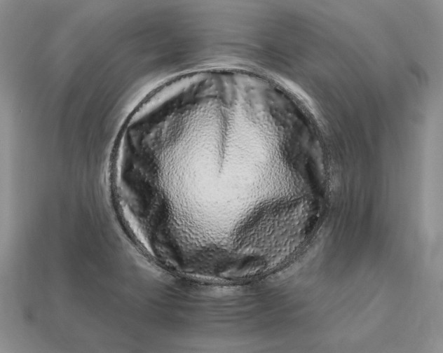 X0000112901423200909111515