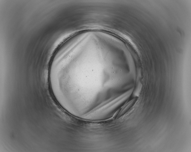 X0000112901424200909111515