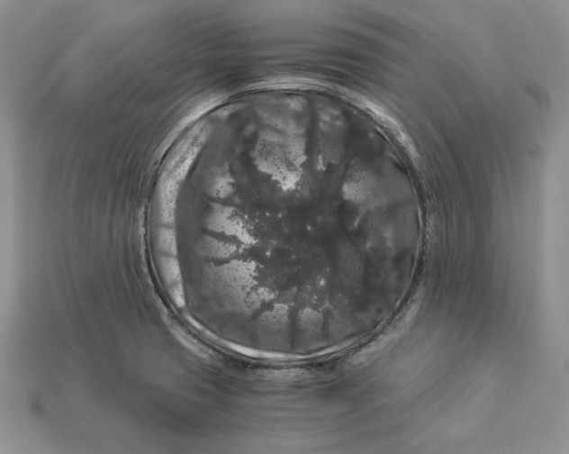 X0000112901425200909111515
