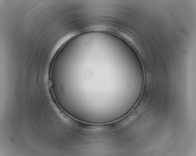 X0000112901426200909111515