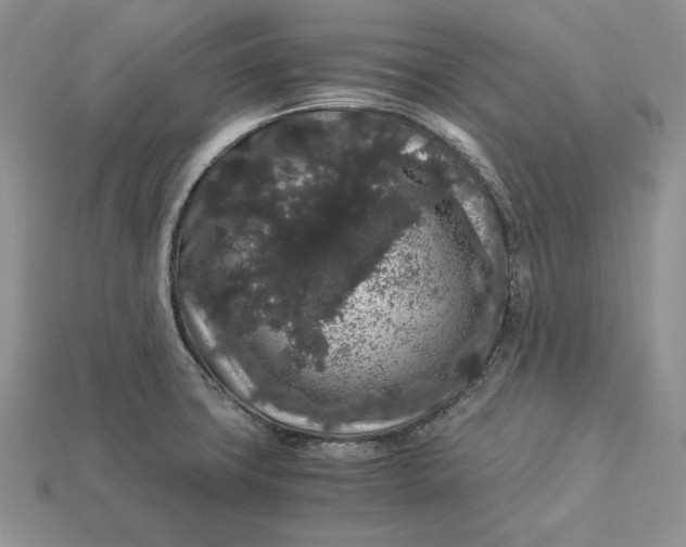X0000112901427200909111515