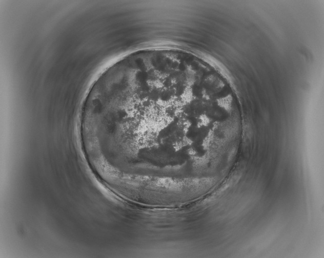 X0000112901429200909111515