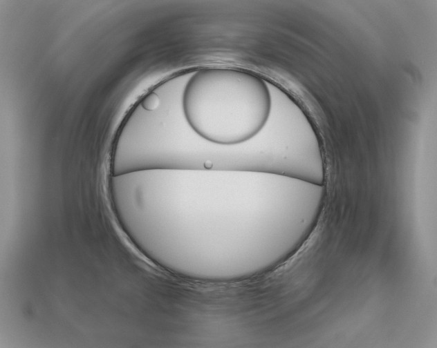 X0000112901432200909111515