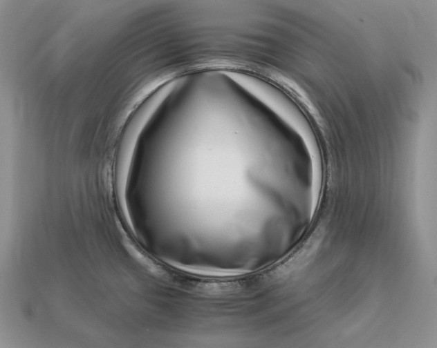 X0000112901433200909111515