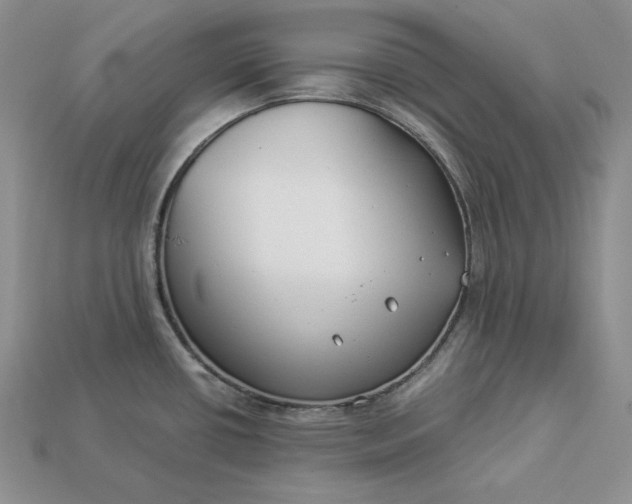 X0000112901434200909111515