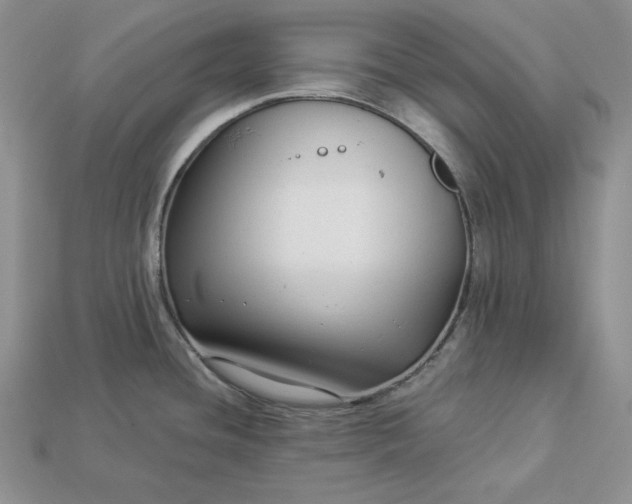 X0000112901436200909111515