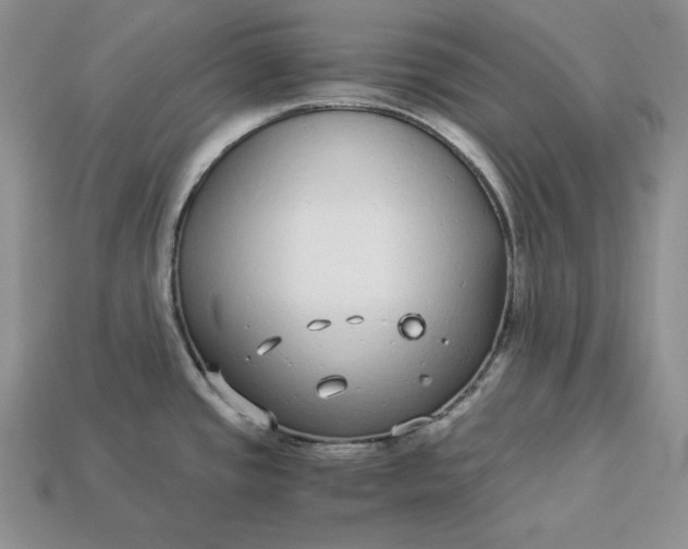 X0000112901437200909111515