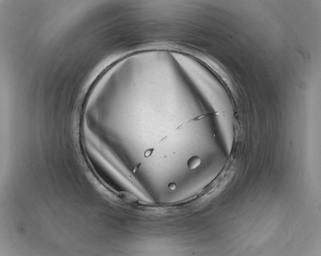 X0000112901438200909111515