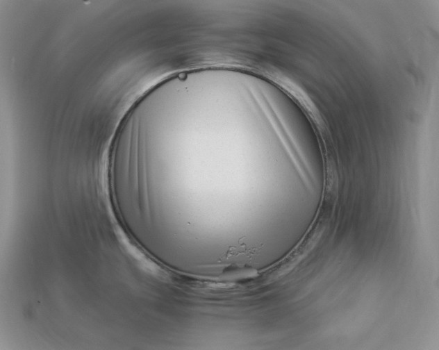 X0000112901439200909111515