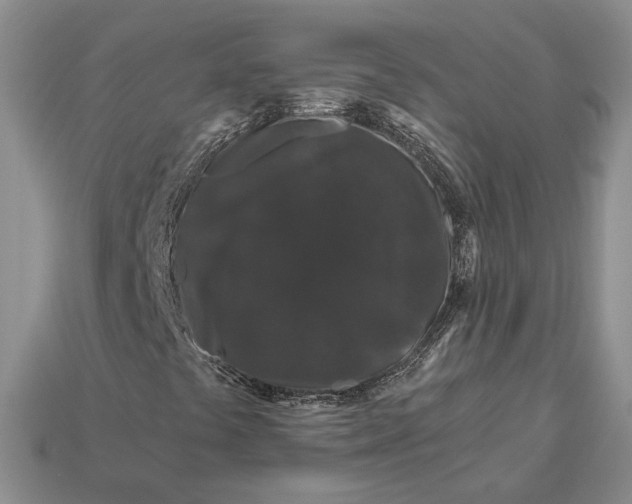 X0000112901441200909111515