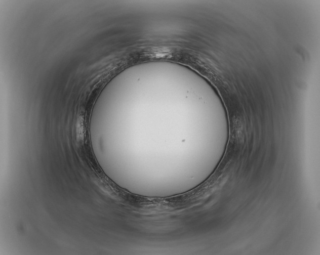 X0000112901442200909111515