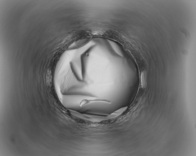X0000112901443200909111515