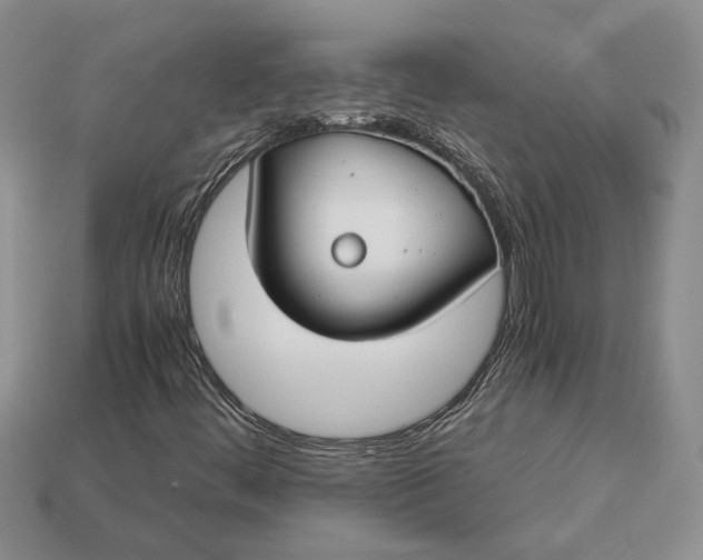 X0000112901444200909111515