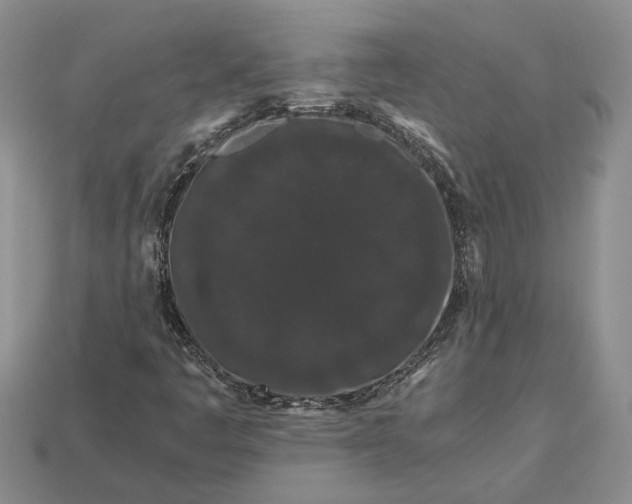 X0000112901445200909111515