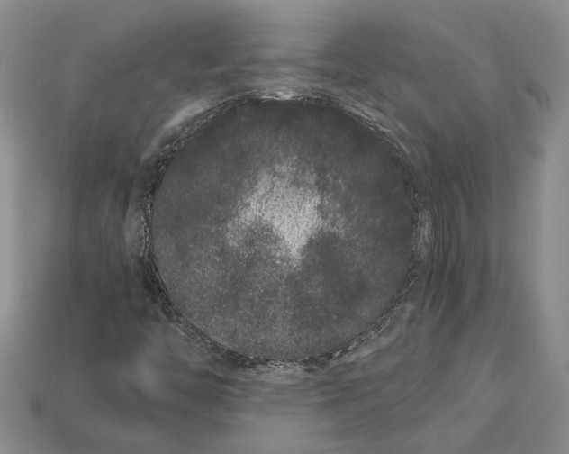 X0000112901446200909111515