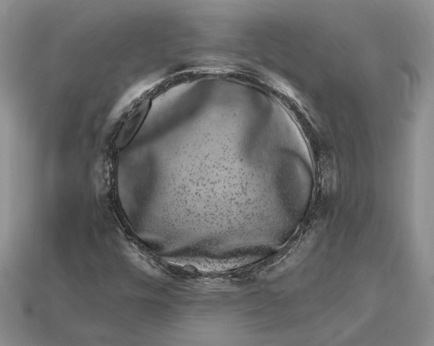X0000112901448200909111515