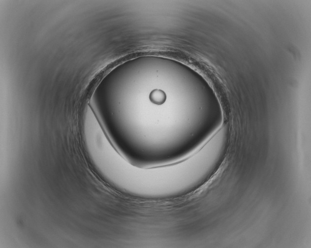 X0000112901449200909111515
