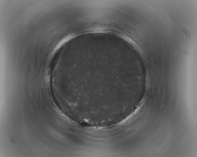 X0000112901450200909111515