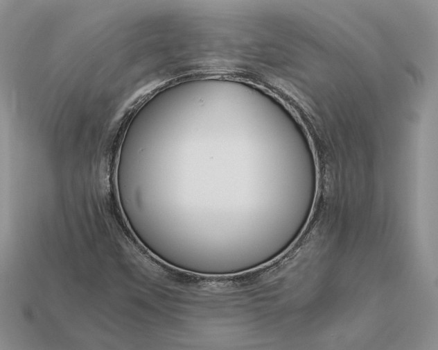 X0000112901451200909111515
