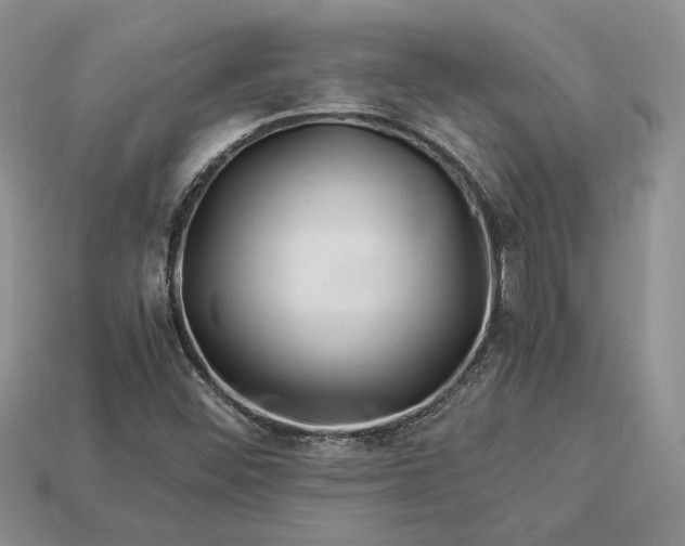 X0000112901452200909111515
