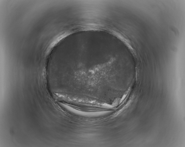X0000112901453200909111515