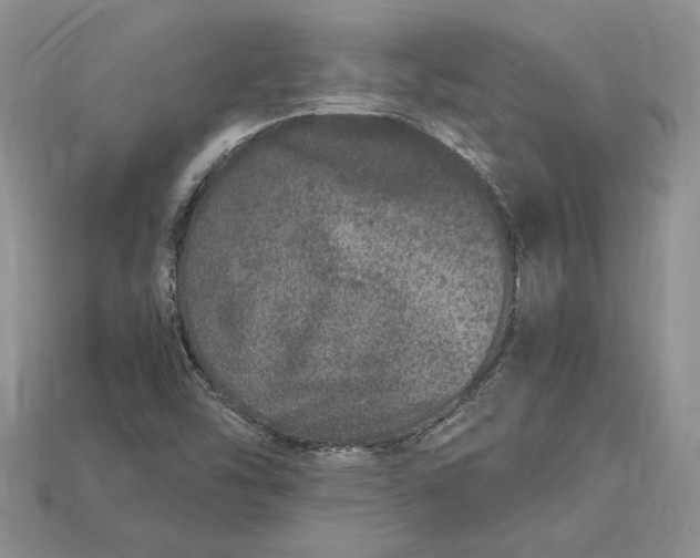 X0000112901454200909111515