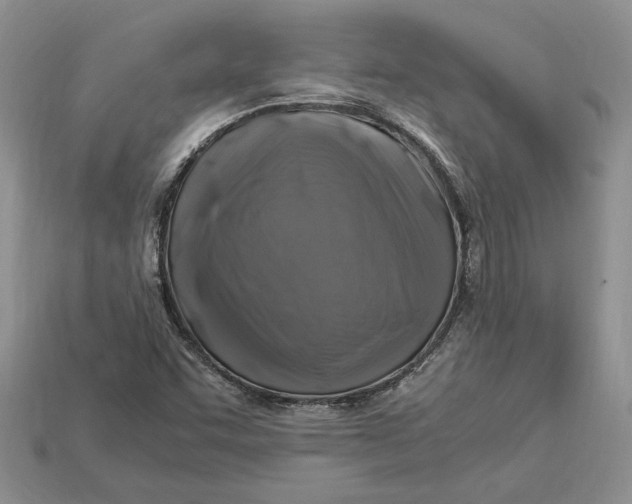 X0000112901455200909111515