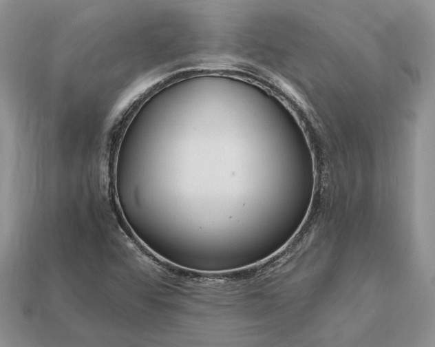 X0000112901456200909111515