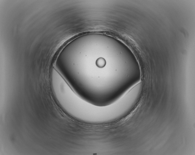 X0000112901457200909111515