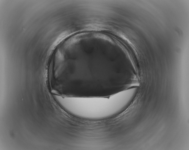X0000112901459200909111514