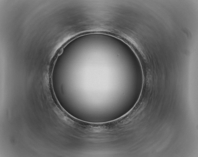 X0000112901460200909111514