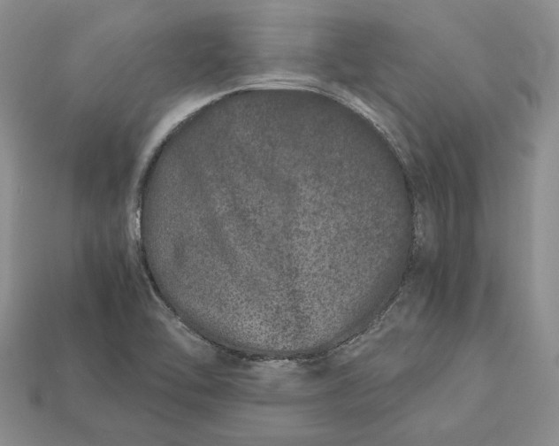 X0000112901462200909111514