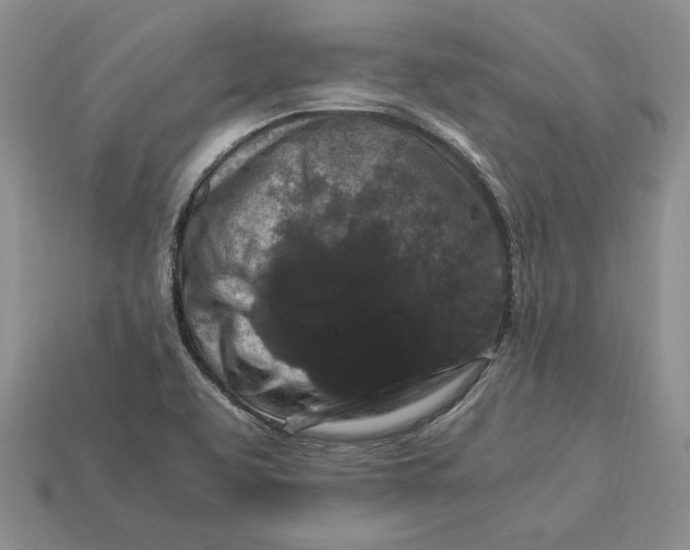 X0000112901463200909111514