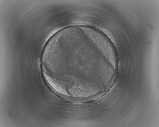 X0000112901465200909111514