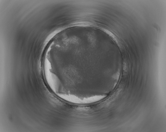 X0000112901466200909111514