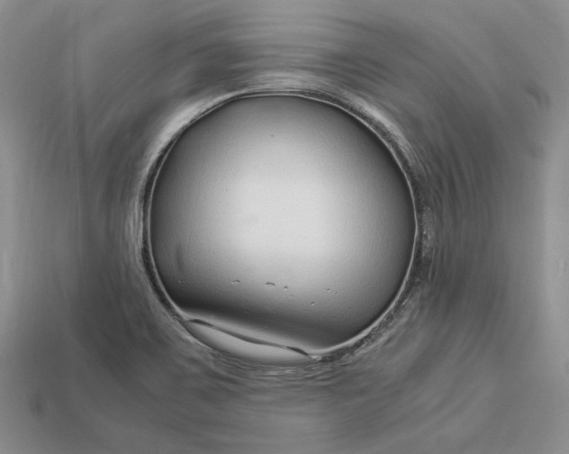 X0000112901467200909111514