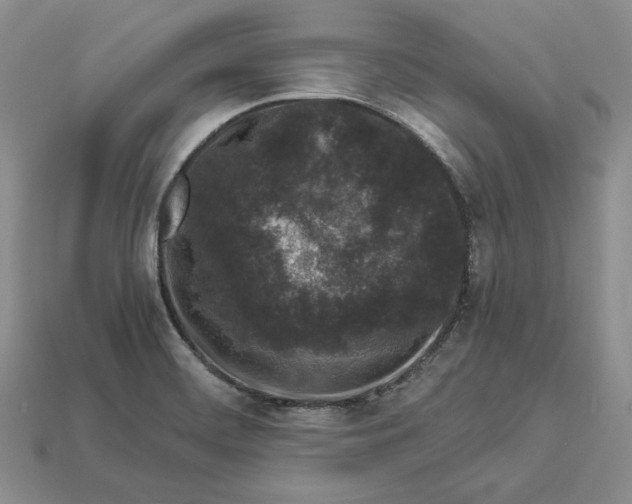 X0000112901468200909111514