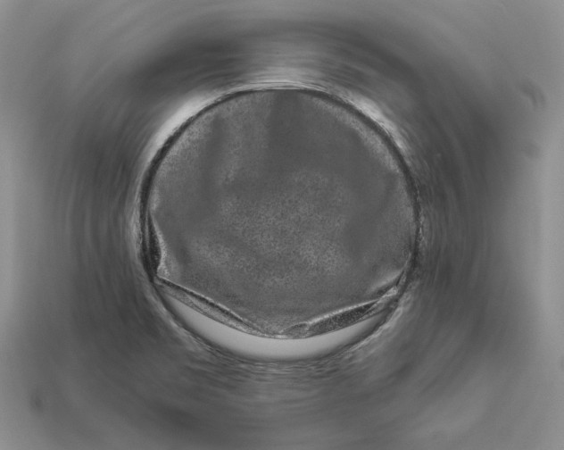 X0000112901469200909111514