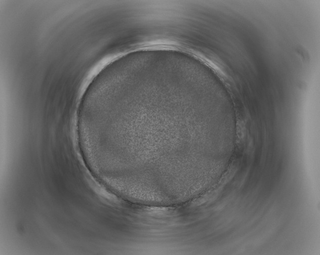 X0000112901470200909111514