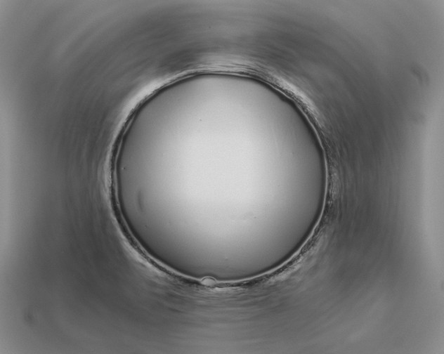 X0000112901471200909111514