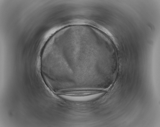 X0000112901472200909111514