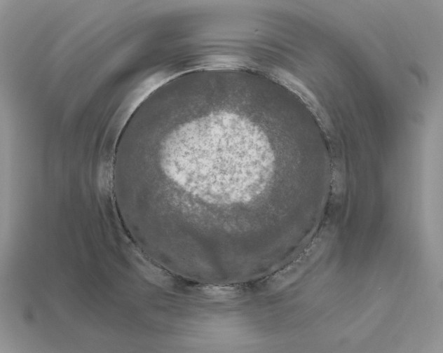 X0000112901473200909111514