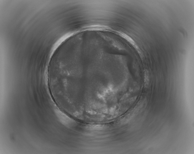X0000112901474200909111514