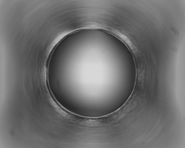 X0000112901476200909111514