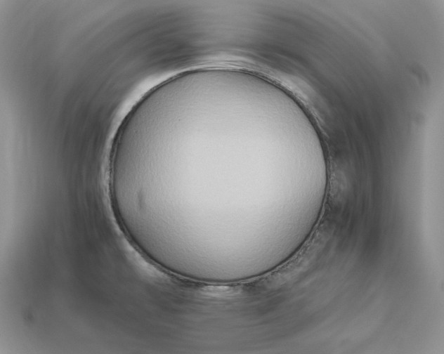 X0000112901478200909111514