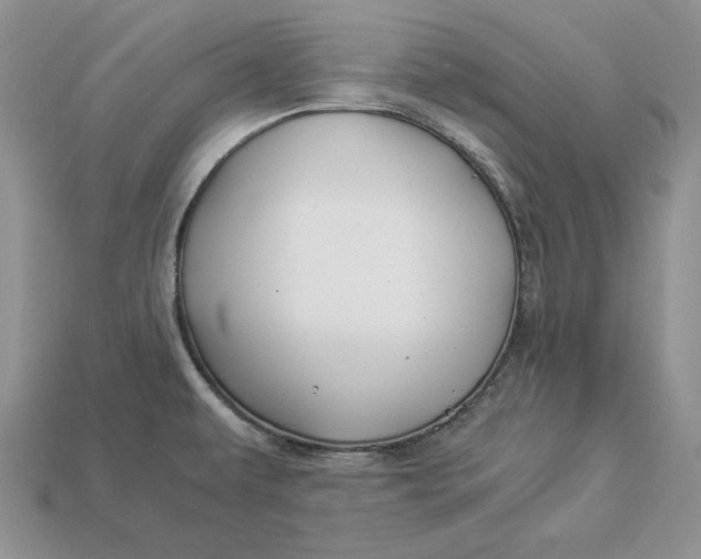 X0000112901479200909111514