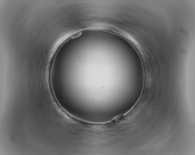 X0000112901480200909111514