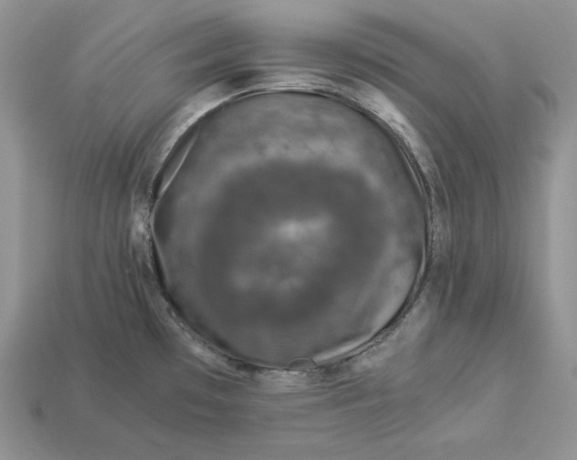 X0000112901481200909111514